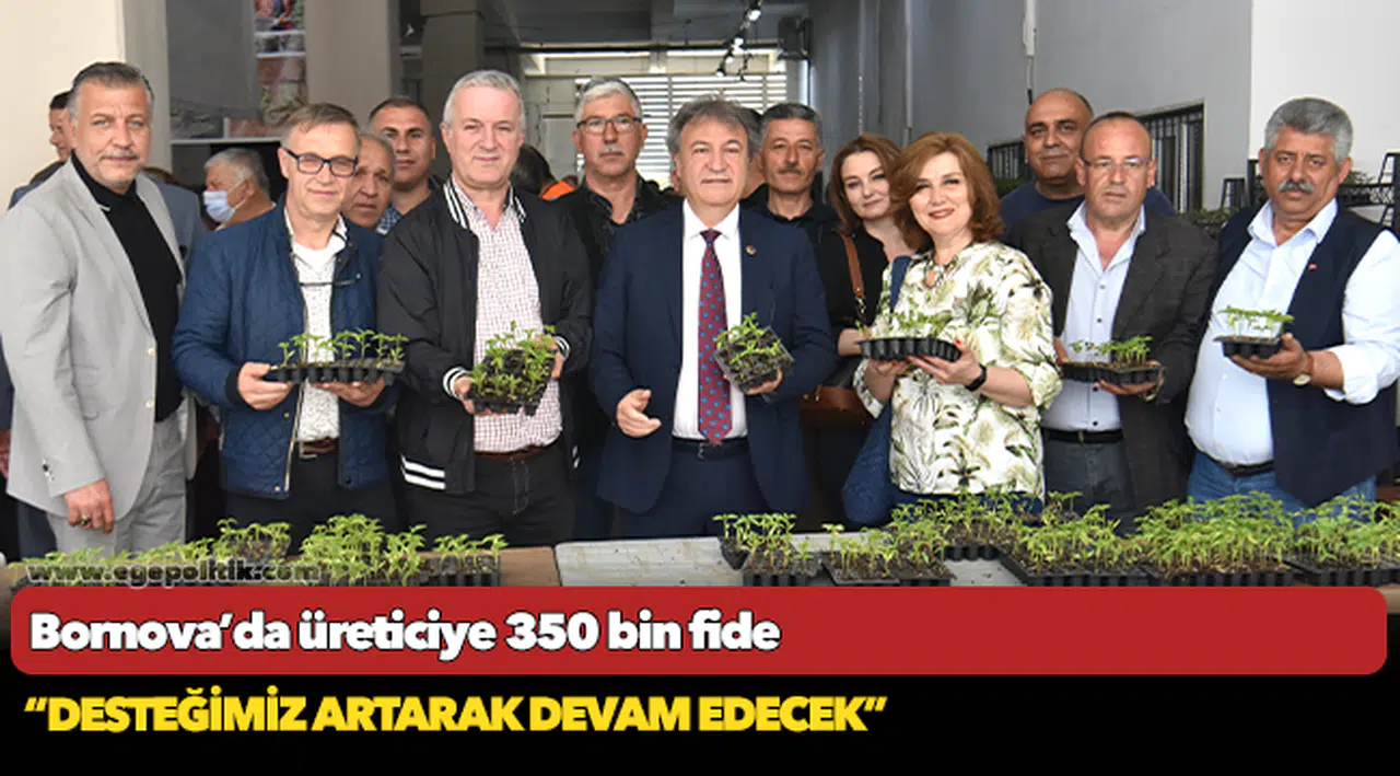 Bornova’da üreticiye 350 bin fide