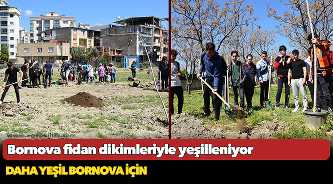 Bornova fidan dikimleriyle yeşilleniyor