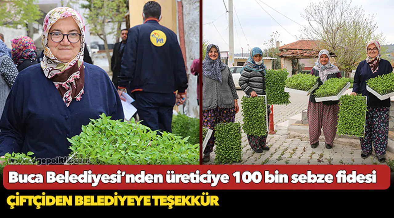 Buca Belediyesi’nden üreticiye 100 bin sebze fidesi