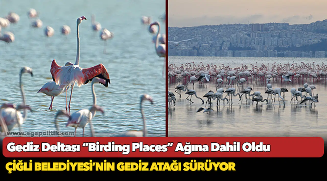 Gediz Deltası “Birding Places” Ağına Dahil Oldu