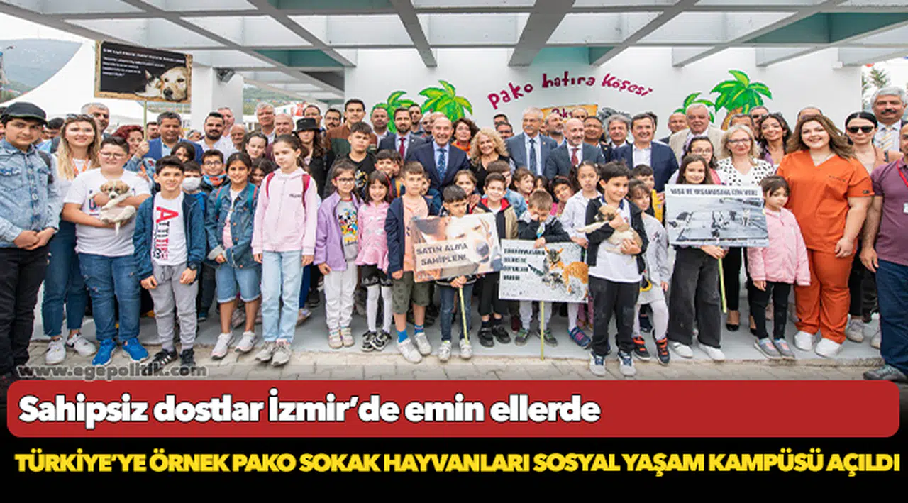 Türkiye’ye örnek Pako Sokak Hayvanları Sosyal Yaşam Kampüsü açıldı