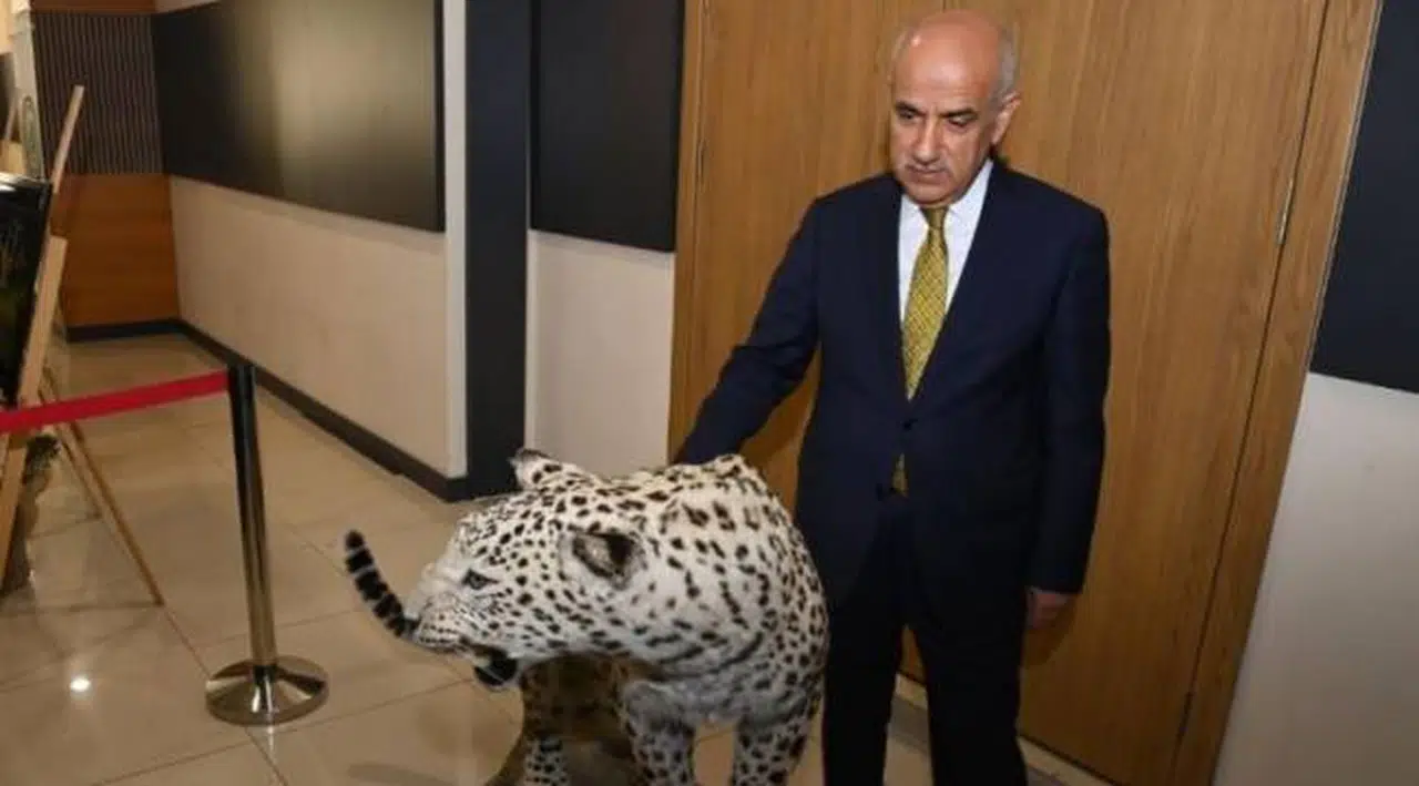 Bakan Kirişçi: Anadolu Leoparı tekrar görüldü