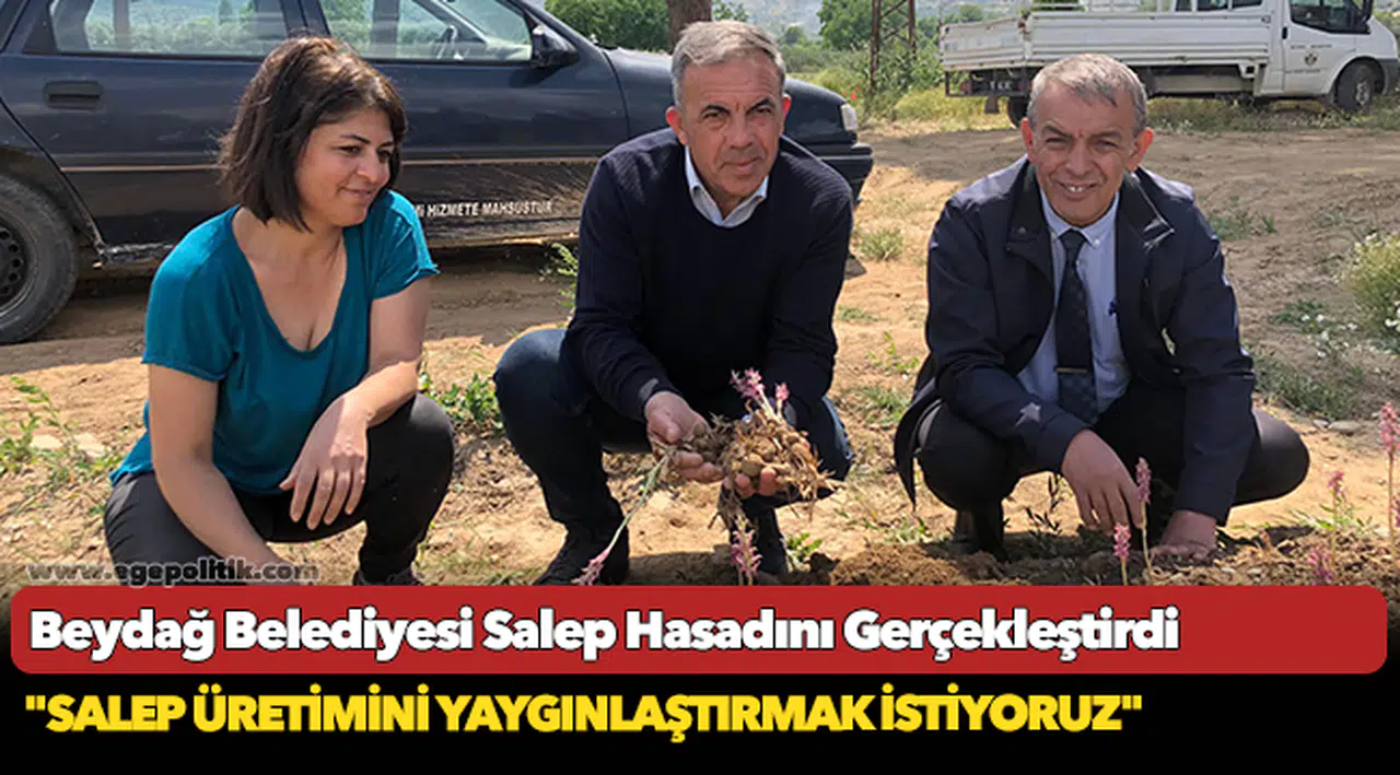 Beydağ Belediyesi Salep Hasadını Gerçekleştirdi