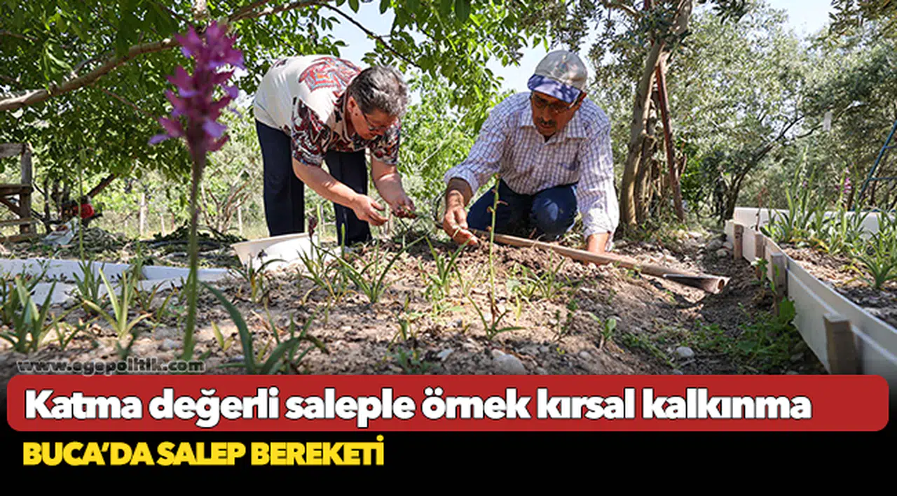 Buca’da salep bereketi