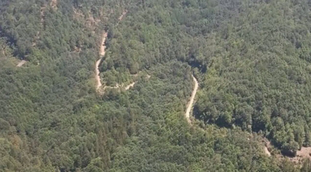 Hatay'da ormanlara giriş yasaklandı