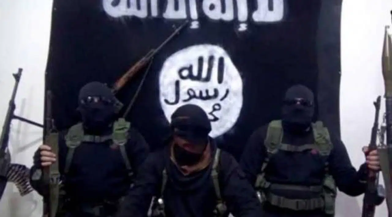 IŞİD'liler hakkındaki sorulara 'devlet sırrı' deyip yanıt vermediler