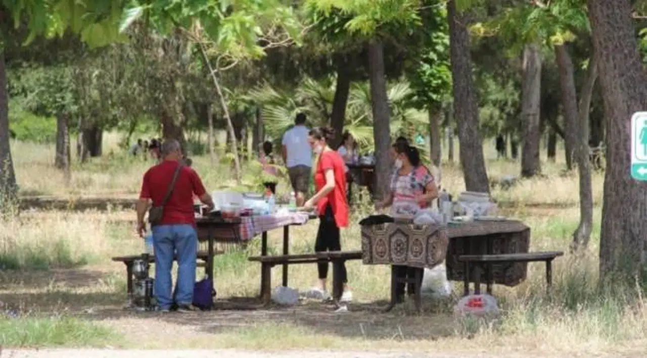 İzmir'de 26 ormanlık alana girişler yasaklanıyor