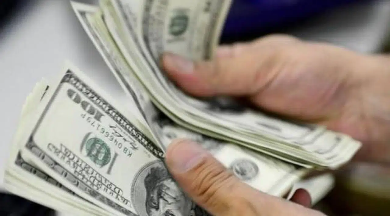 Merkez Bankası'nın faiz kararı öncesi dolarda son durum
