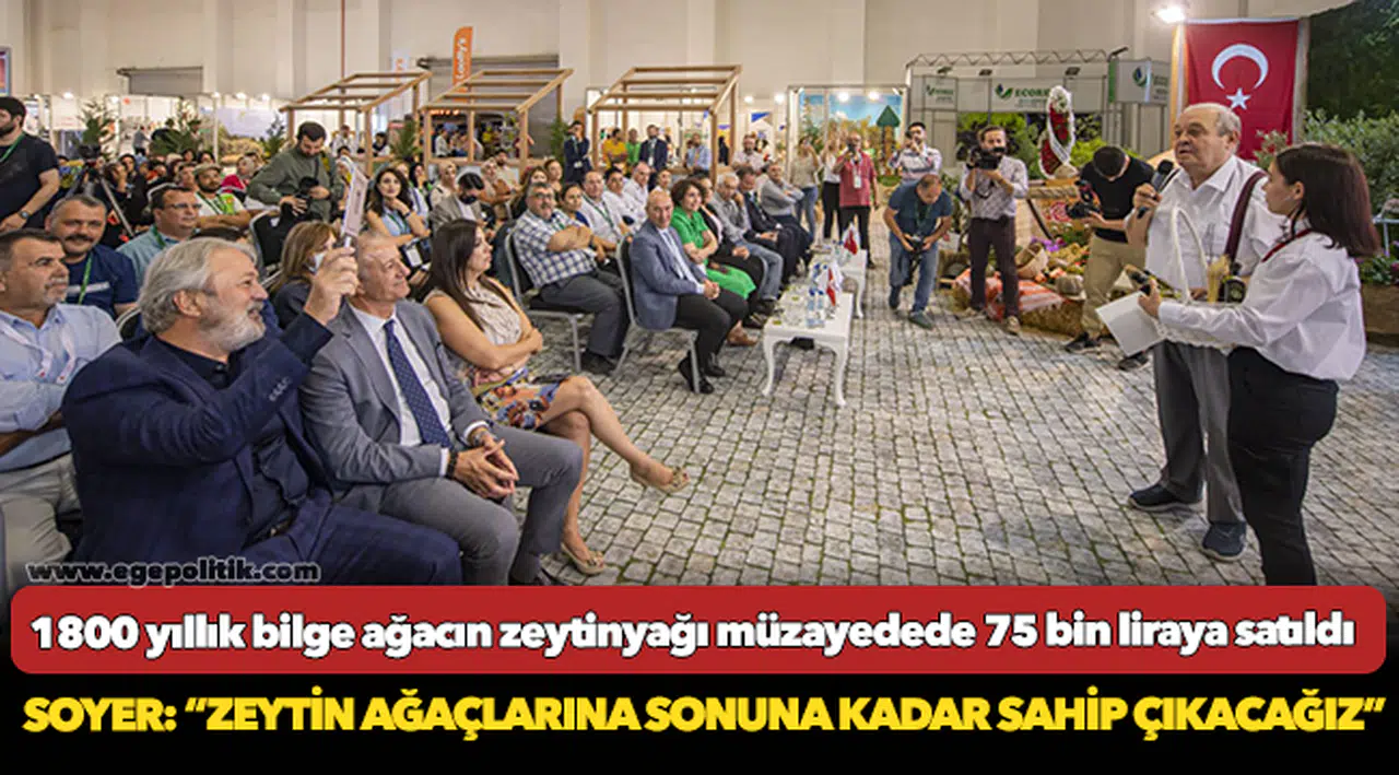 Soyer: “Zeytin ağaçlarına sonuna kadar sahip çıkacağız”