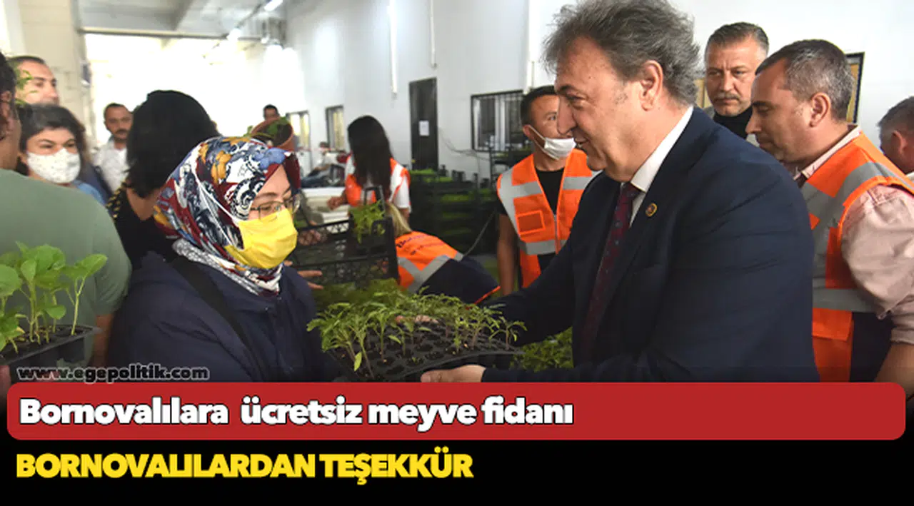 Bornovalılara  ücretsiz meyve fidanı