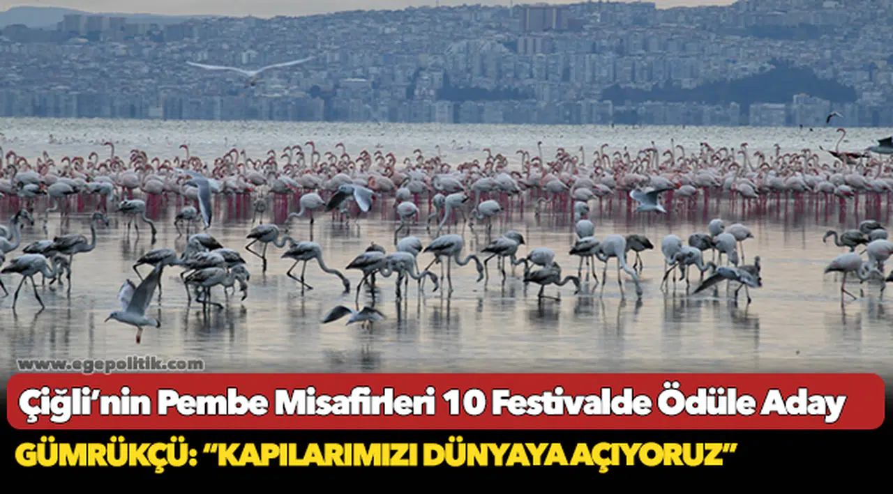 Çiğli’nin Pembe Misafirleri 10 Festivalde Ödüle Aday