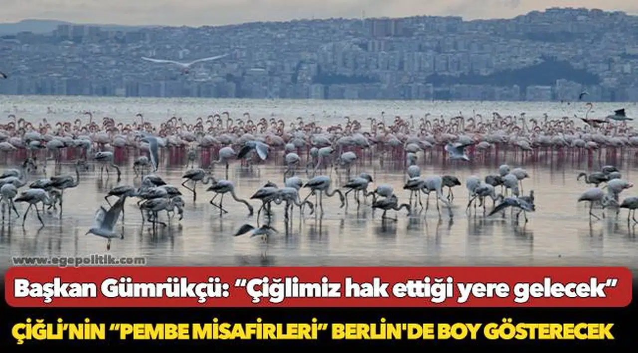 Çiğli’nin “Pembe Misafirleri” Berlin'de Boy Gösterecek