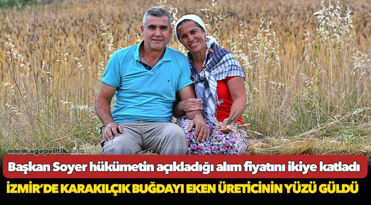İzmir’de karakılçık buğdayı eken üreticinin yüzü güldü