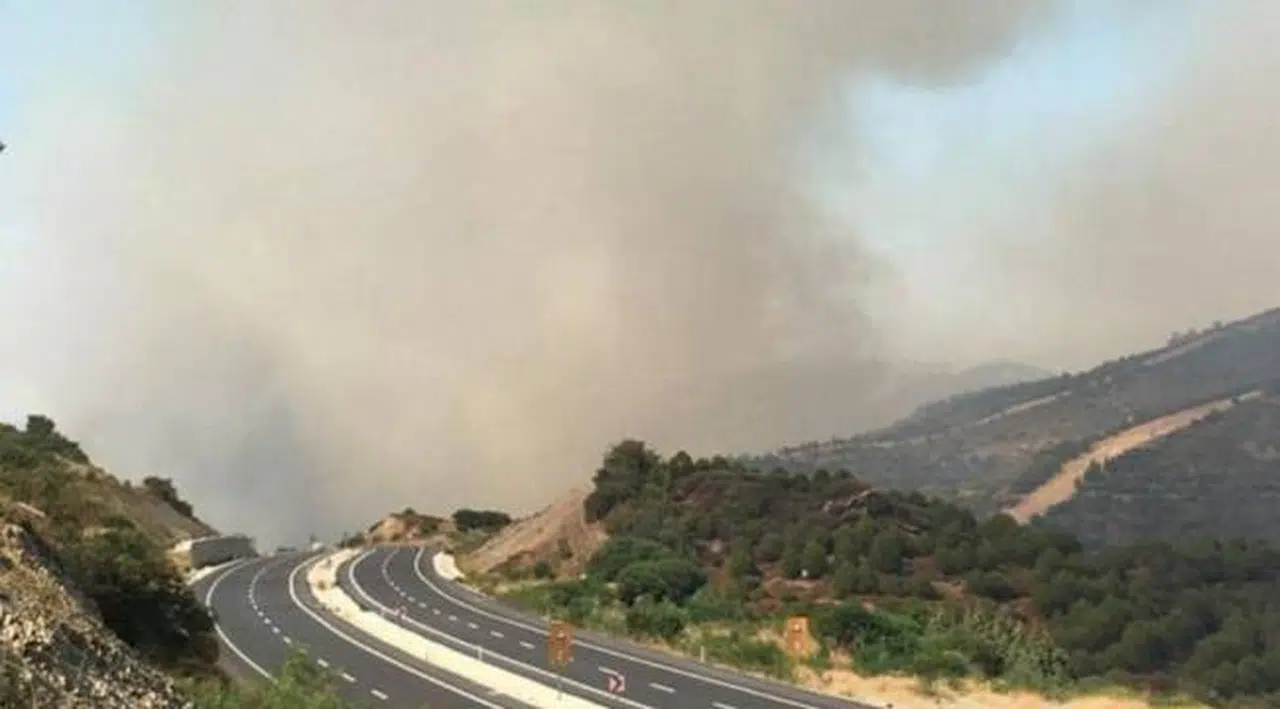 İzmir'de orman yangını