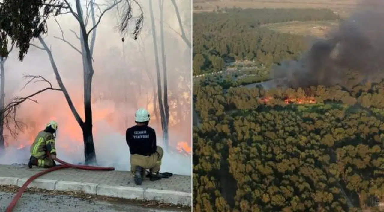 İzmir'deki yangın kontrol altına alındı