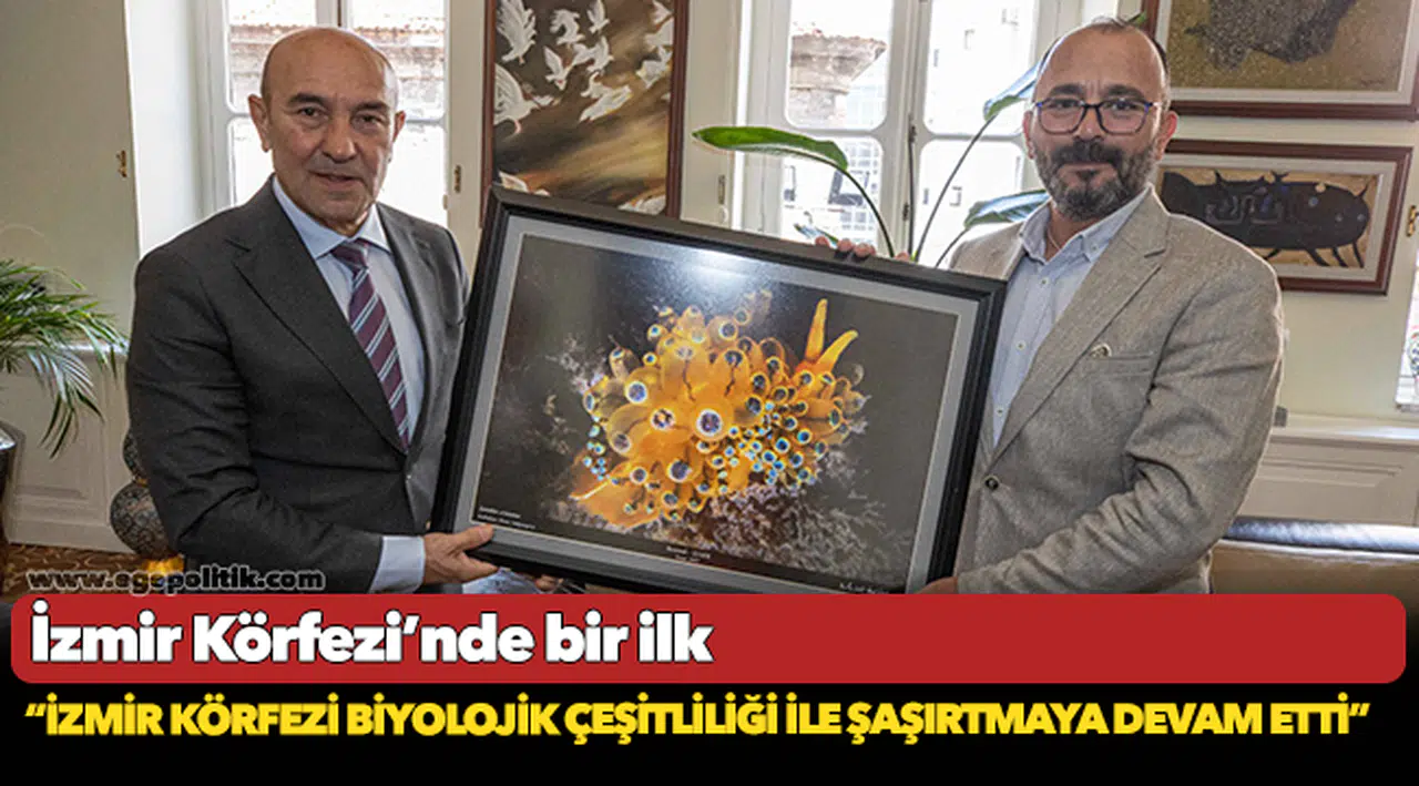 İzmir Körfezi’nde bir ilk