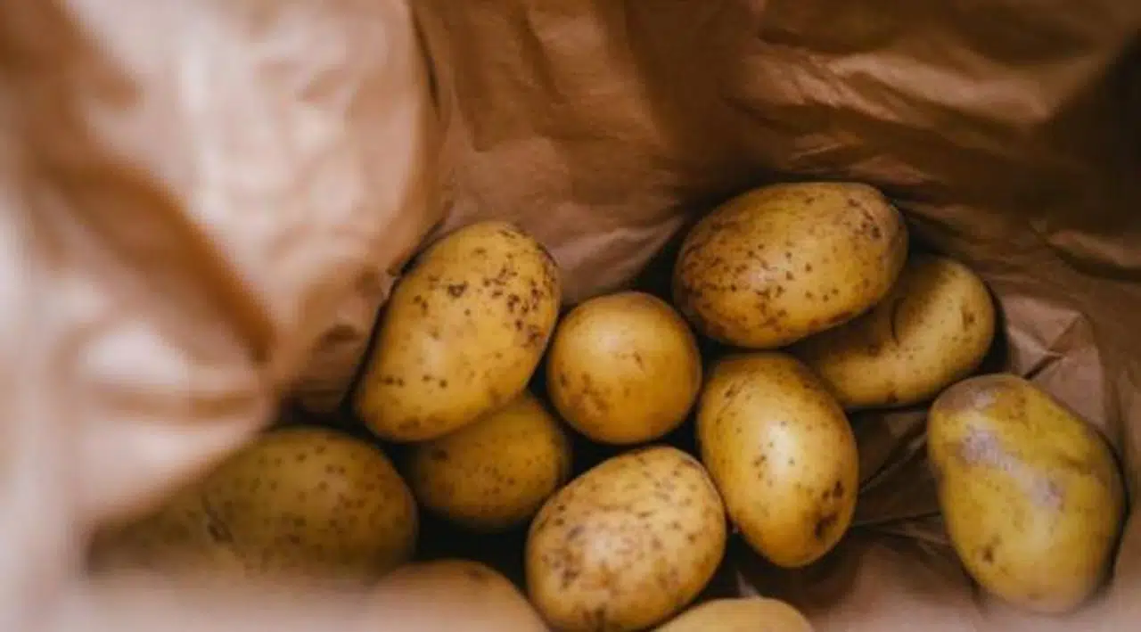 Komşular arası patates kavgası sonucu 2 kişi yaralandı