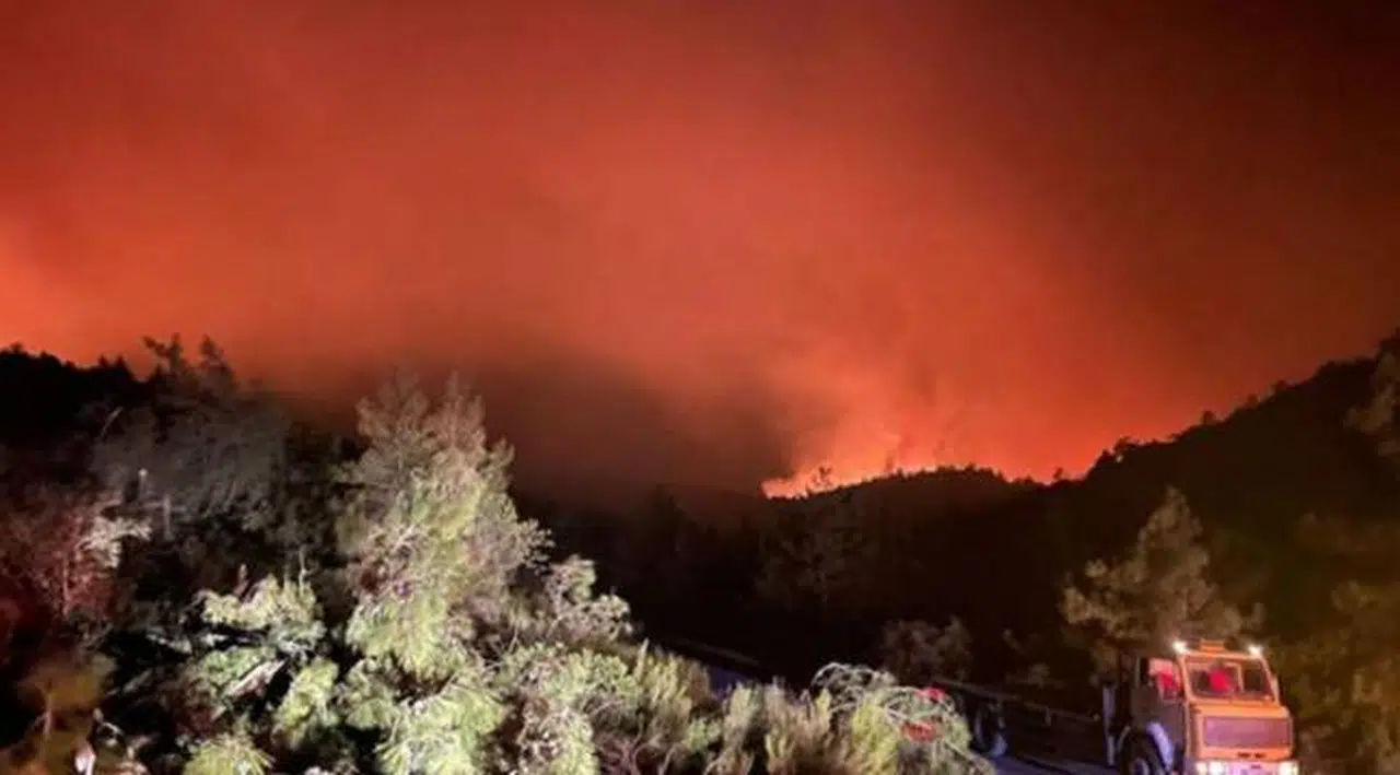 Marmaris'teki orman yangınıyla ilgili bir kişi gözaltına alındı