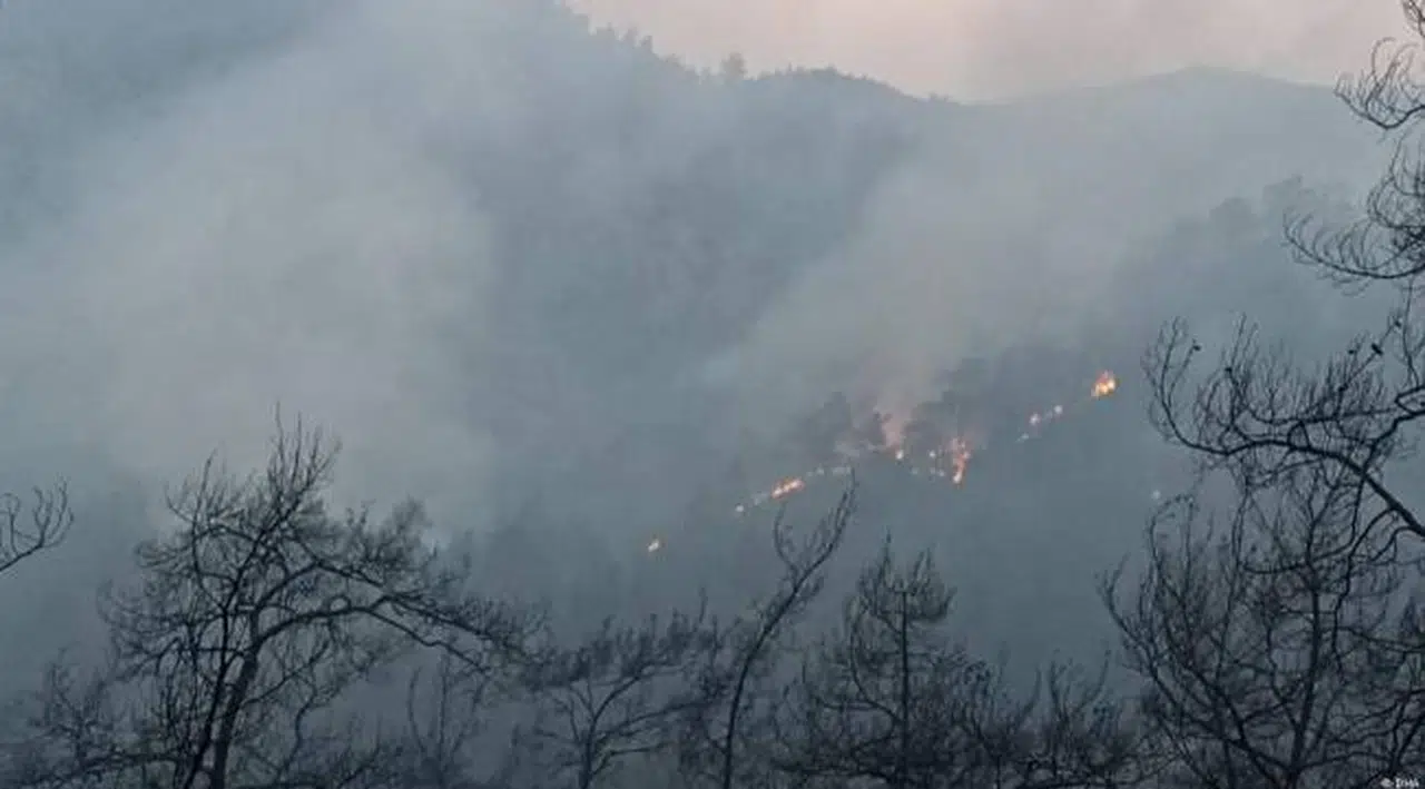 Marmaris'teki yangının failinin yakalanmasıyla ilgili detaylar ortaya çıktı