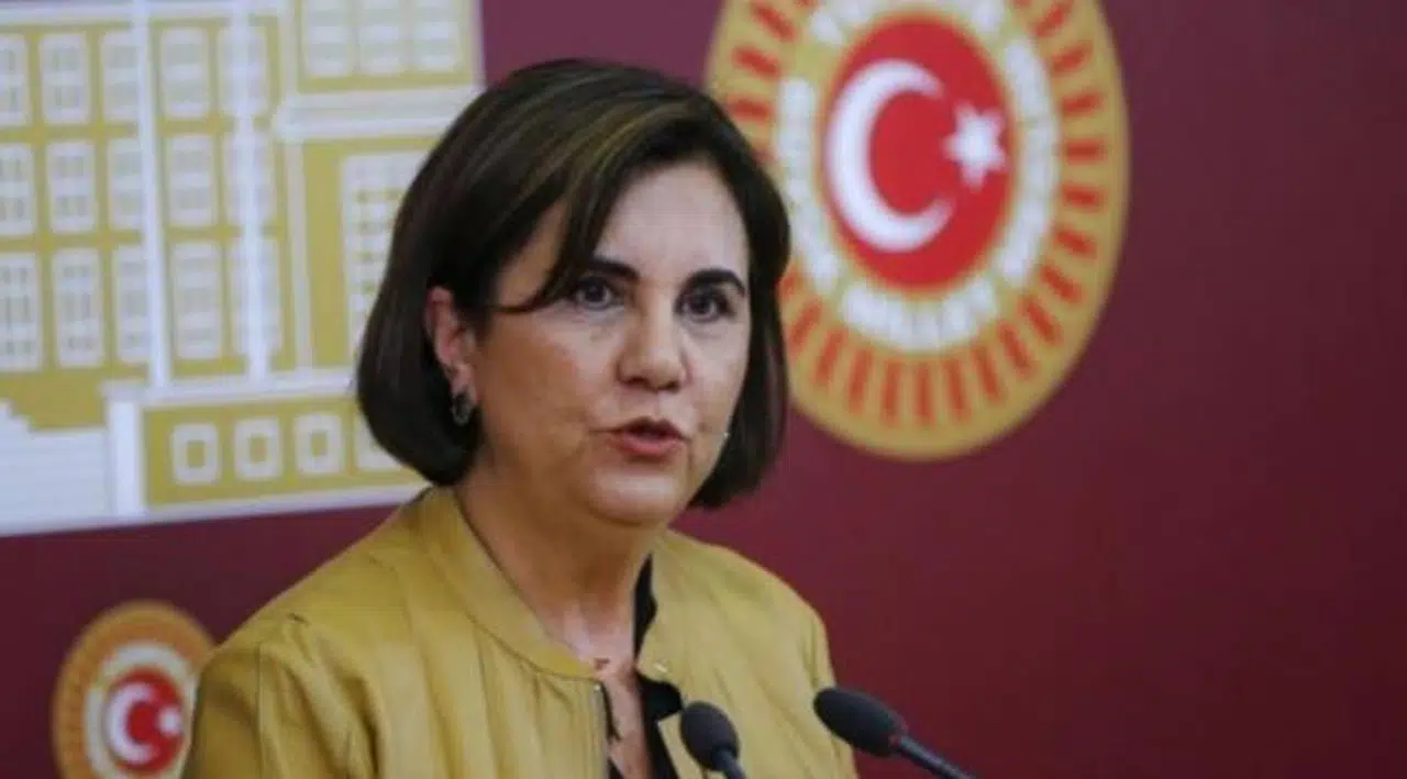 Memleket Partisi'nden istifa eden Gaye Usluer: Köprüden önceki son çıkış