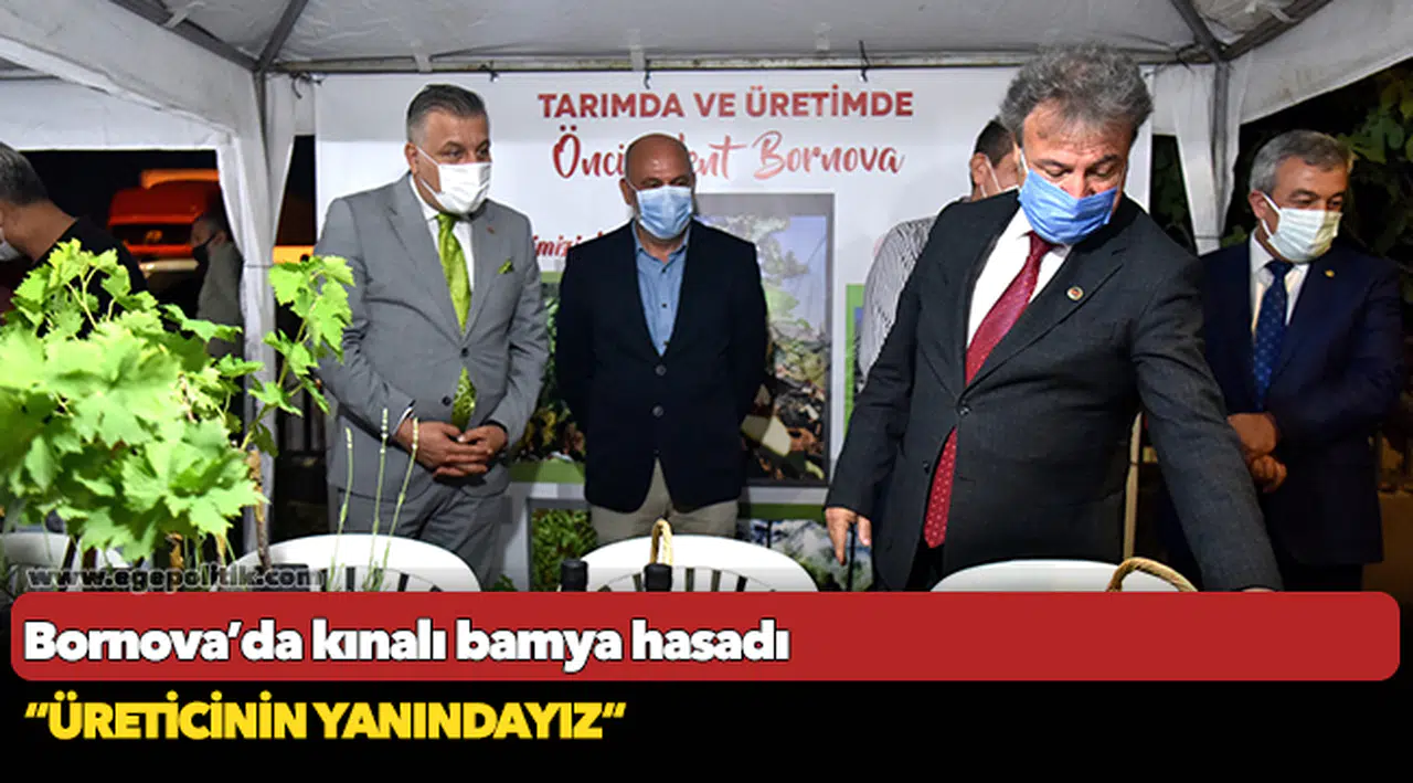 Bornova’da kınalı bamya hasadı