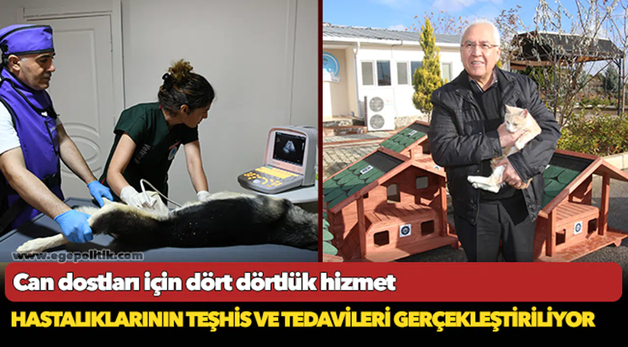 Can dostları için dört dörtlük hizmet