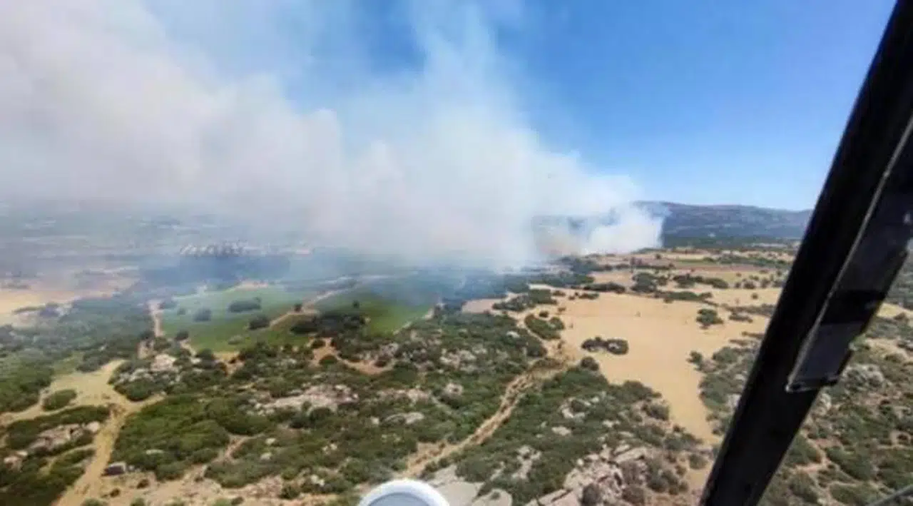 Çanakkale'de orman yangını