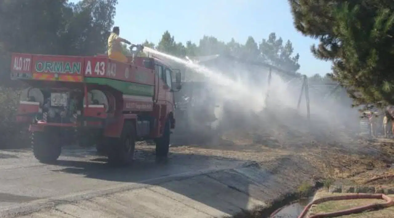 Çanakkale'de yangın: Anzak Mezarlığı son anda kurtarıldı