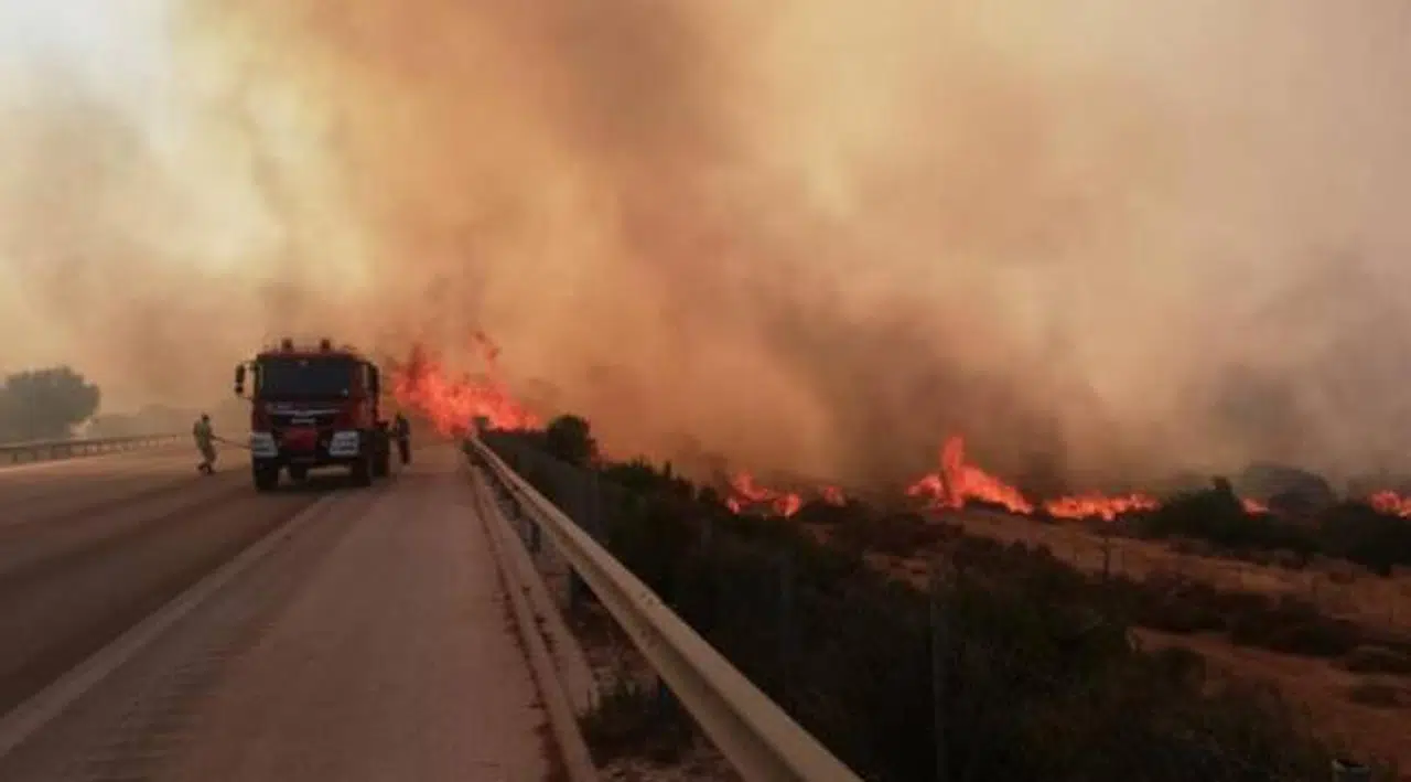 İzmir-Çeşme otoyolu yangın nedeniyle trafiğe kapatıldı