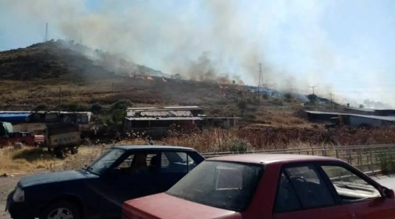 İzmir'de iki ilçede yangın