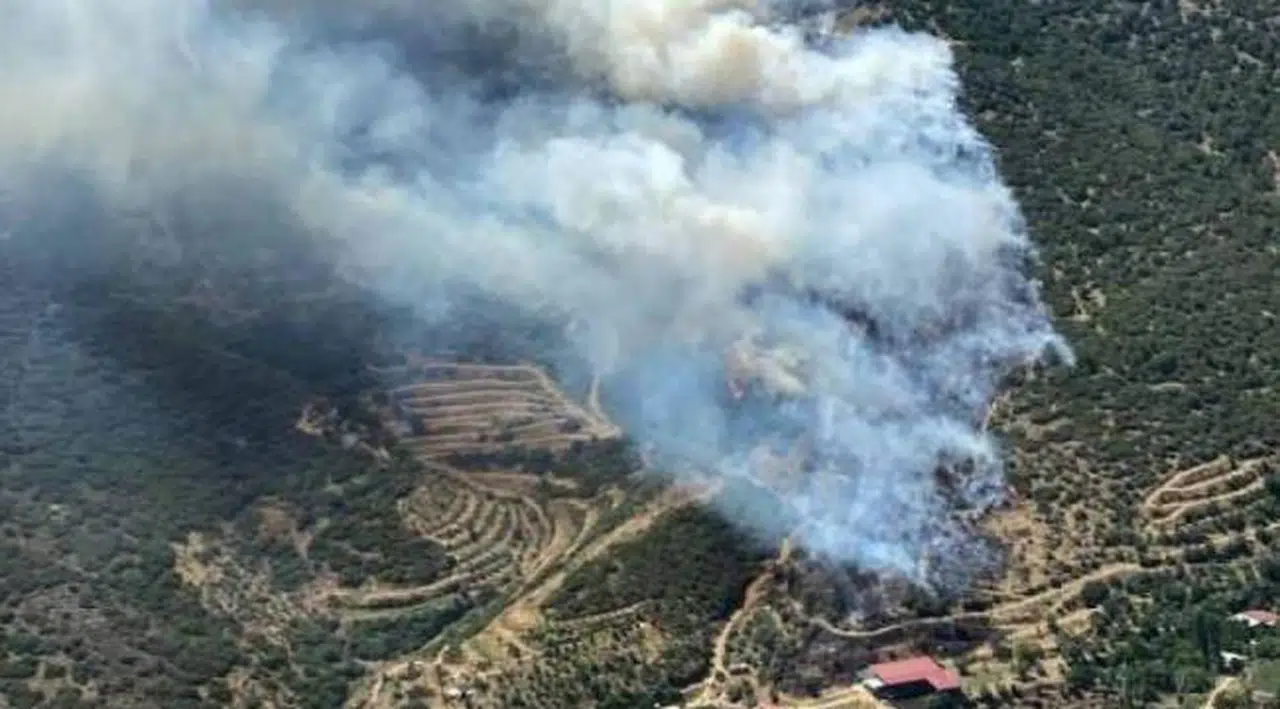 İzmir'de orman yangını