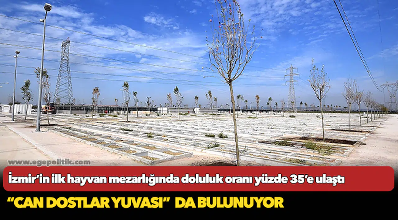 İzmir’in ilk hayvan mezarlığında doluluk oranı yüzde 35’e ulaştı