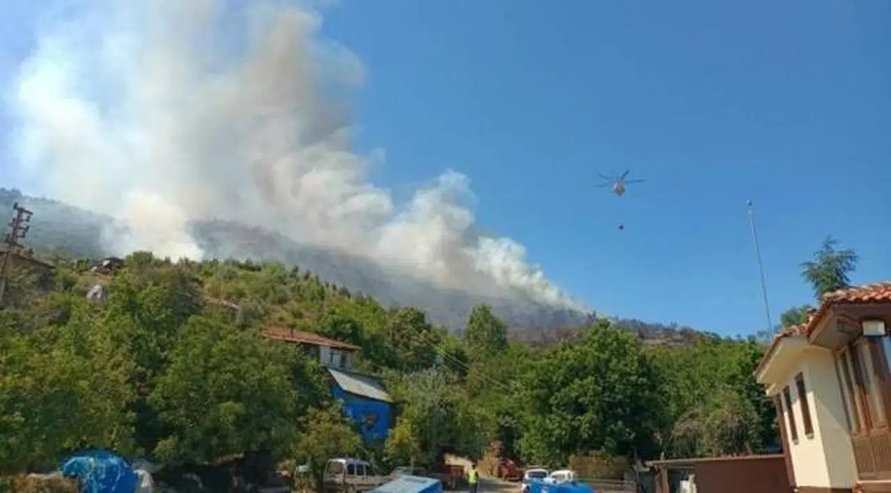 İzmir'in Ödemiş ve Seferihisar ilçelerinde orman yangını