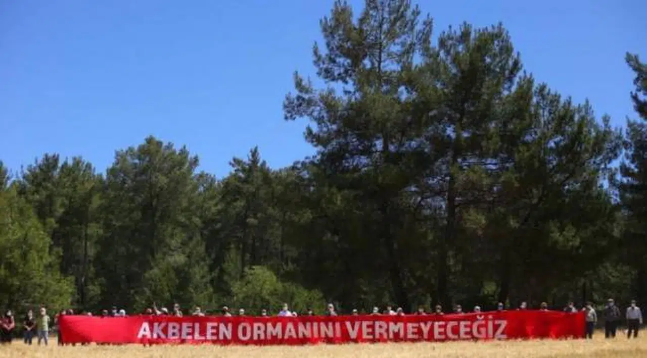 Muğla'da maden sahasının ormana doğru genişletilmesine mahkemeden onay çıkmadı