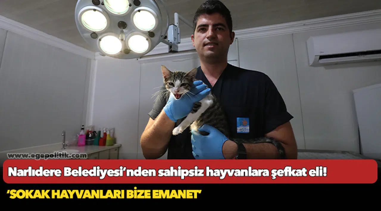 Narlıdere Belediyesi’nden sahipsiz hayvanlara şefkat eli!