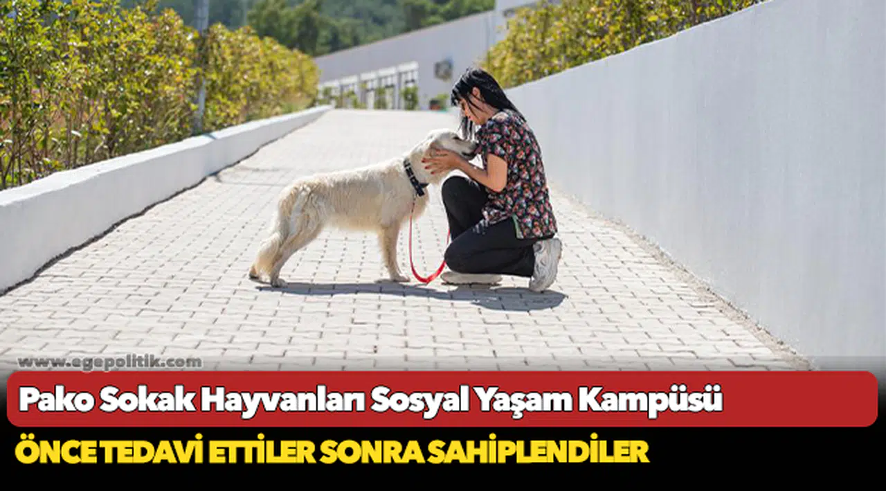 Önce tedavi ettiler sonra sahiplendiler