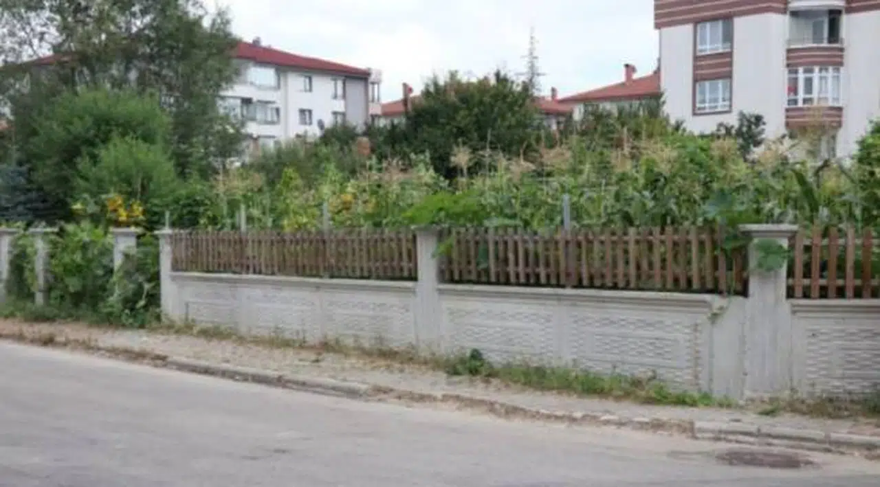 Bolu'da bir erkek bahçesinden mısır alan 3 kız çocuğunu darp etti
