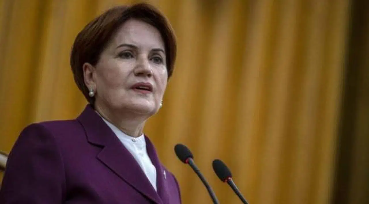 Danışmanı açıkladı: Meral Akşener'i ısıran köpek öldü