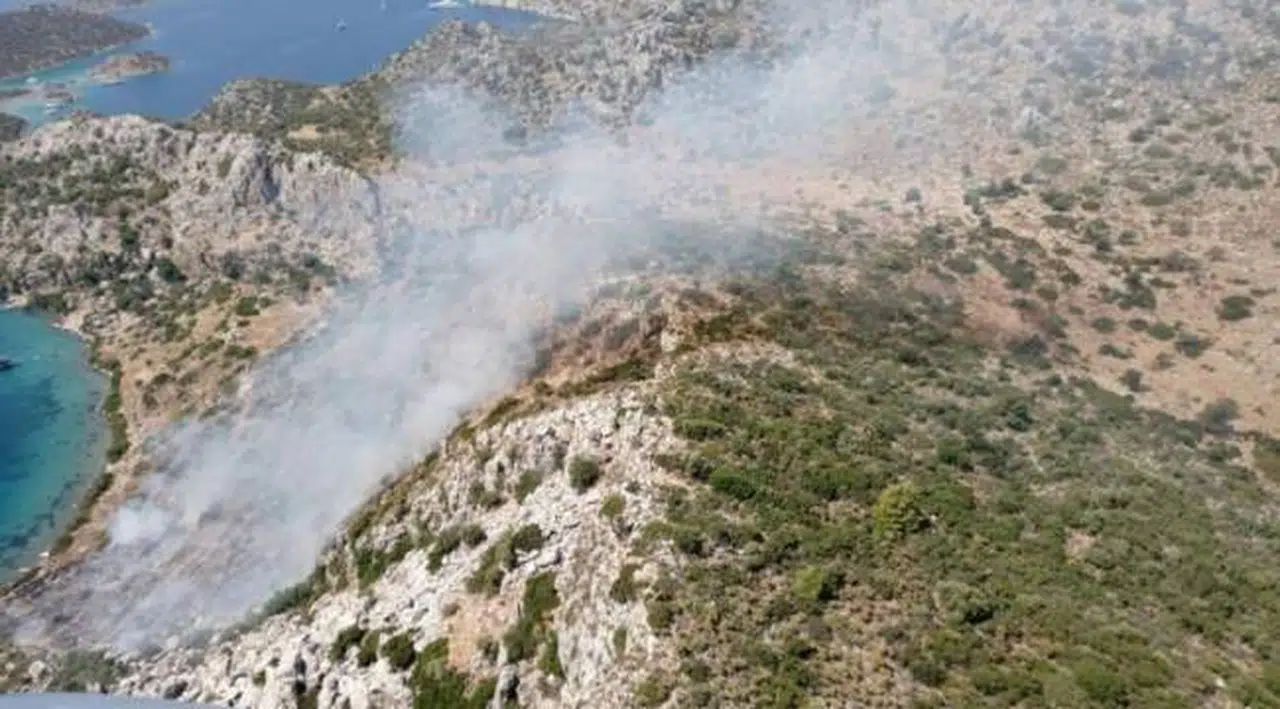 Marmaris'teki orman yangınıyla ilgili bir çoban gözaltına alındı