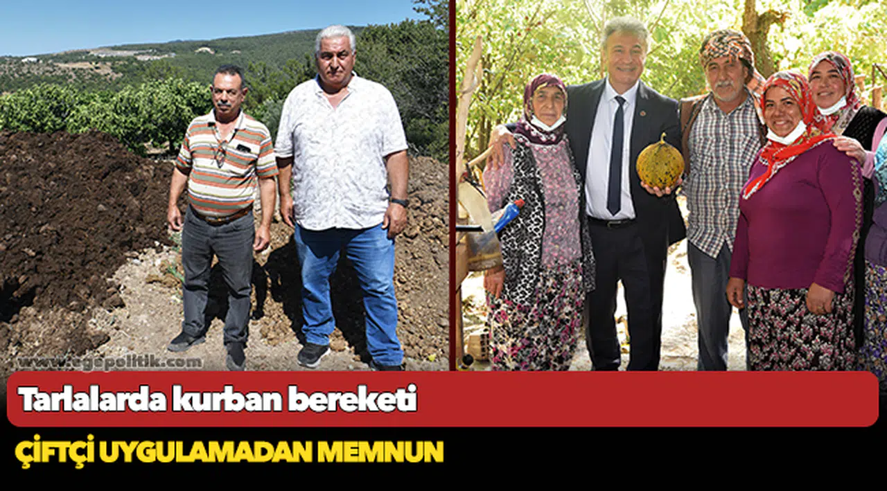 Tarlalarda kurban bereketi