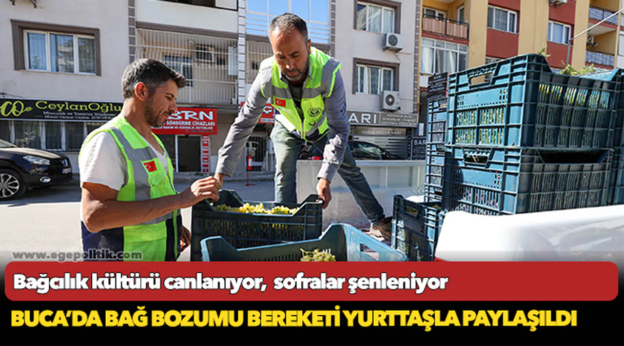 Bağcılık kültürü canlanıyor,  sofralar şenleniyor