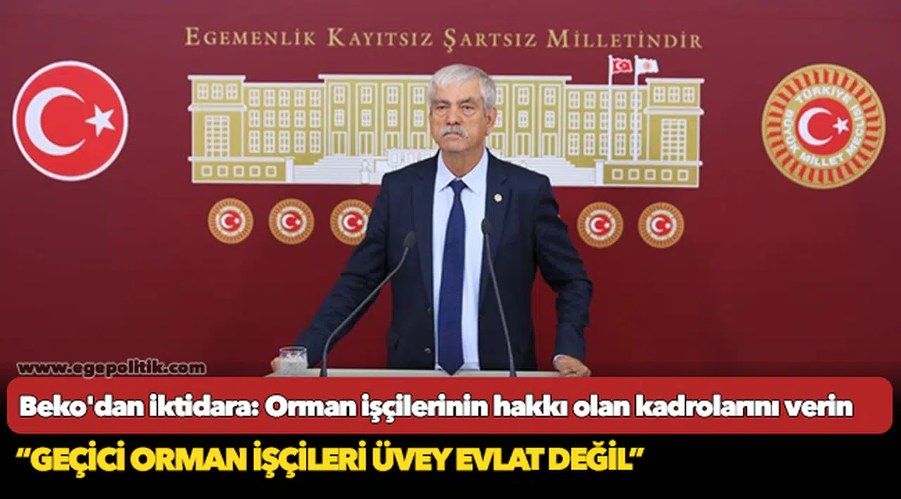 Beko'dan iktidara: Orman işçilerinin hakkı olan kadrolarını verin
