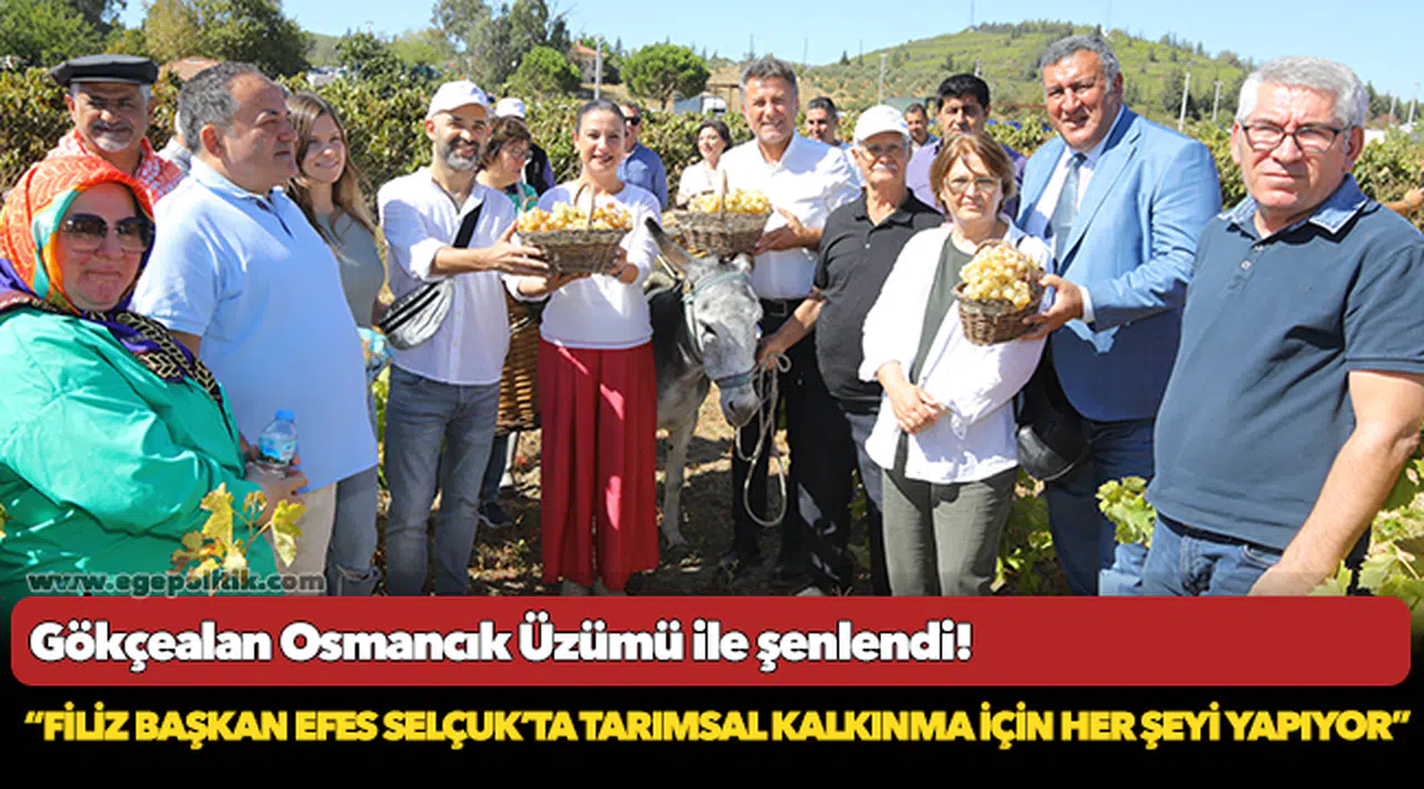 Gökçealan Osmancık Üzümü ile şenlendi!