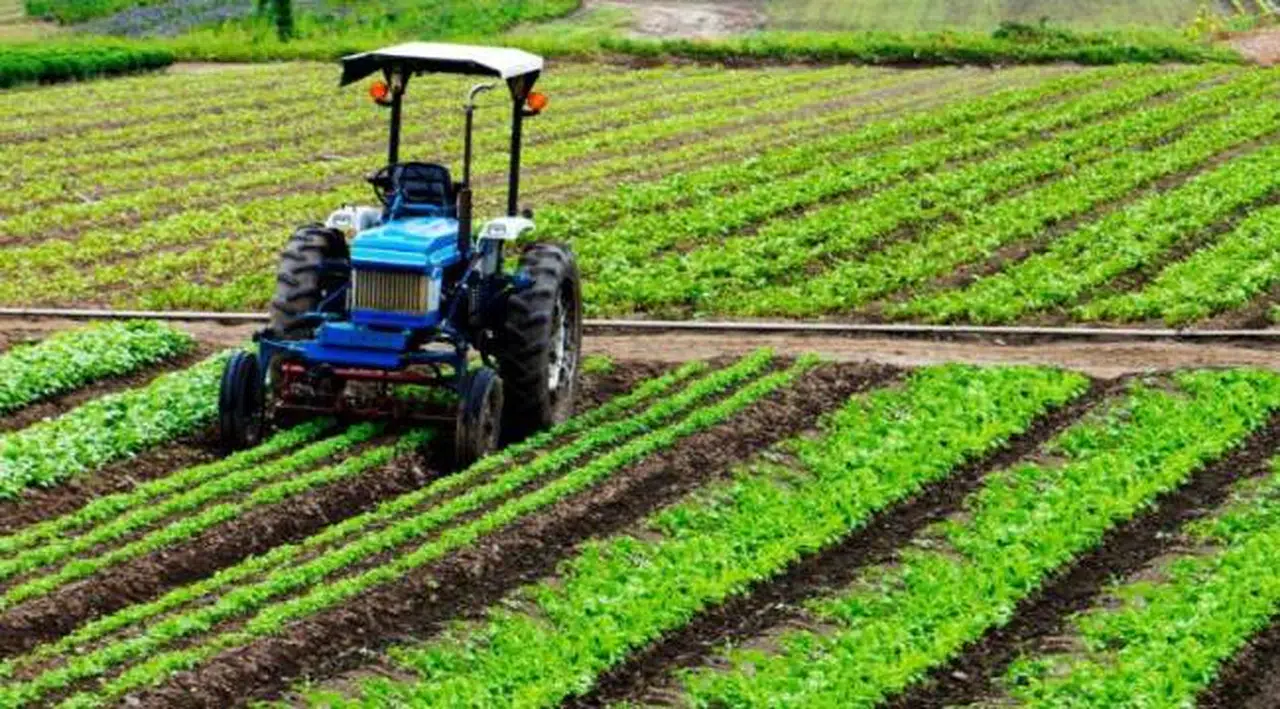 Küresel gıda fiyatları beşinci ayda da geriledi