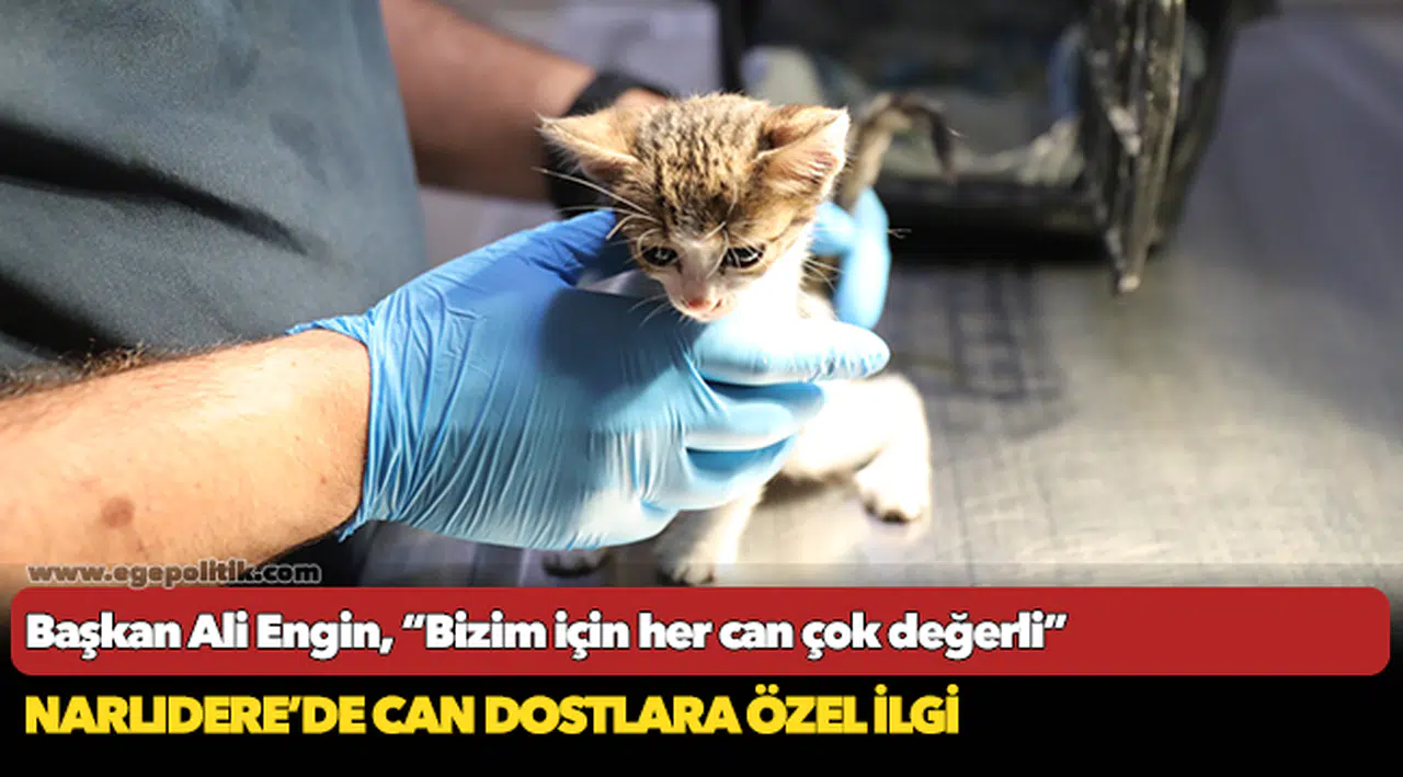 Narlıdere'de can dostlarına özel ilgi