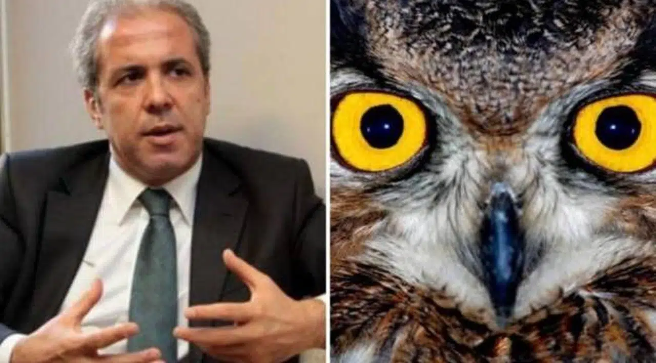 Şamil Tayyar'dan 'Ankara Kuşu' tepkisi: 'Dip temizliğe ihtiyaç var'