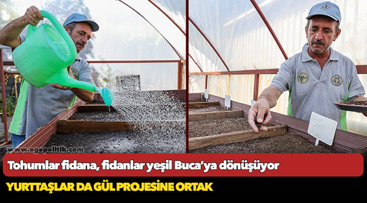 Tohumlar fidana, fidanlar yeşil Buca’ya dönüşüyor