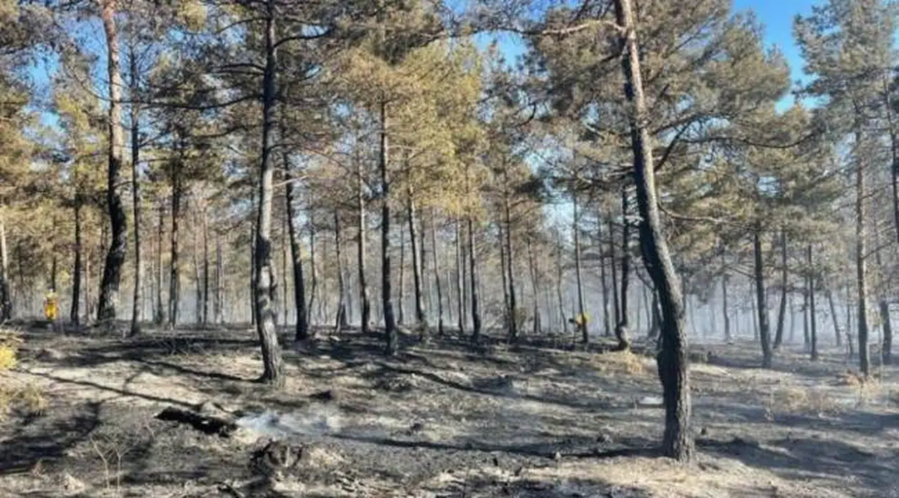 Tokat’ta aynı yerde ikinci kez orman yangını çıktı
