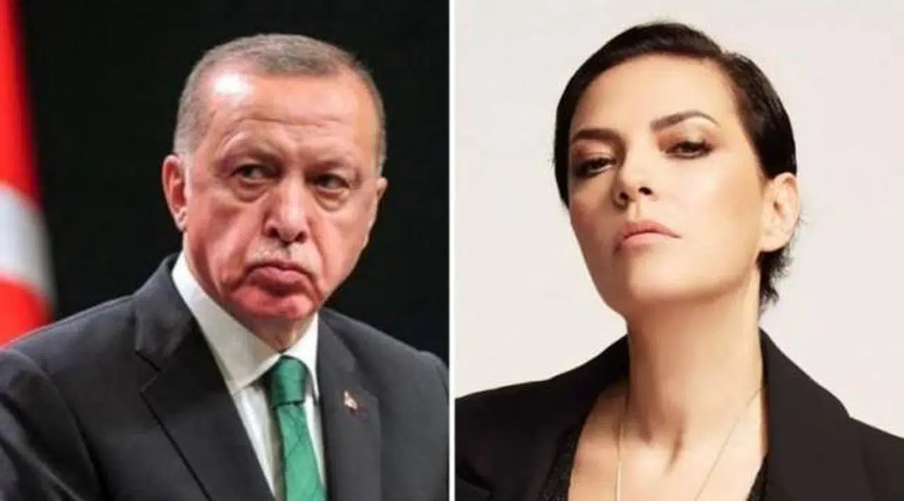 Yeşim Salkım'a Erdoğan'a 'hakaret'ten hapis istemi