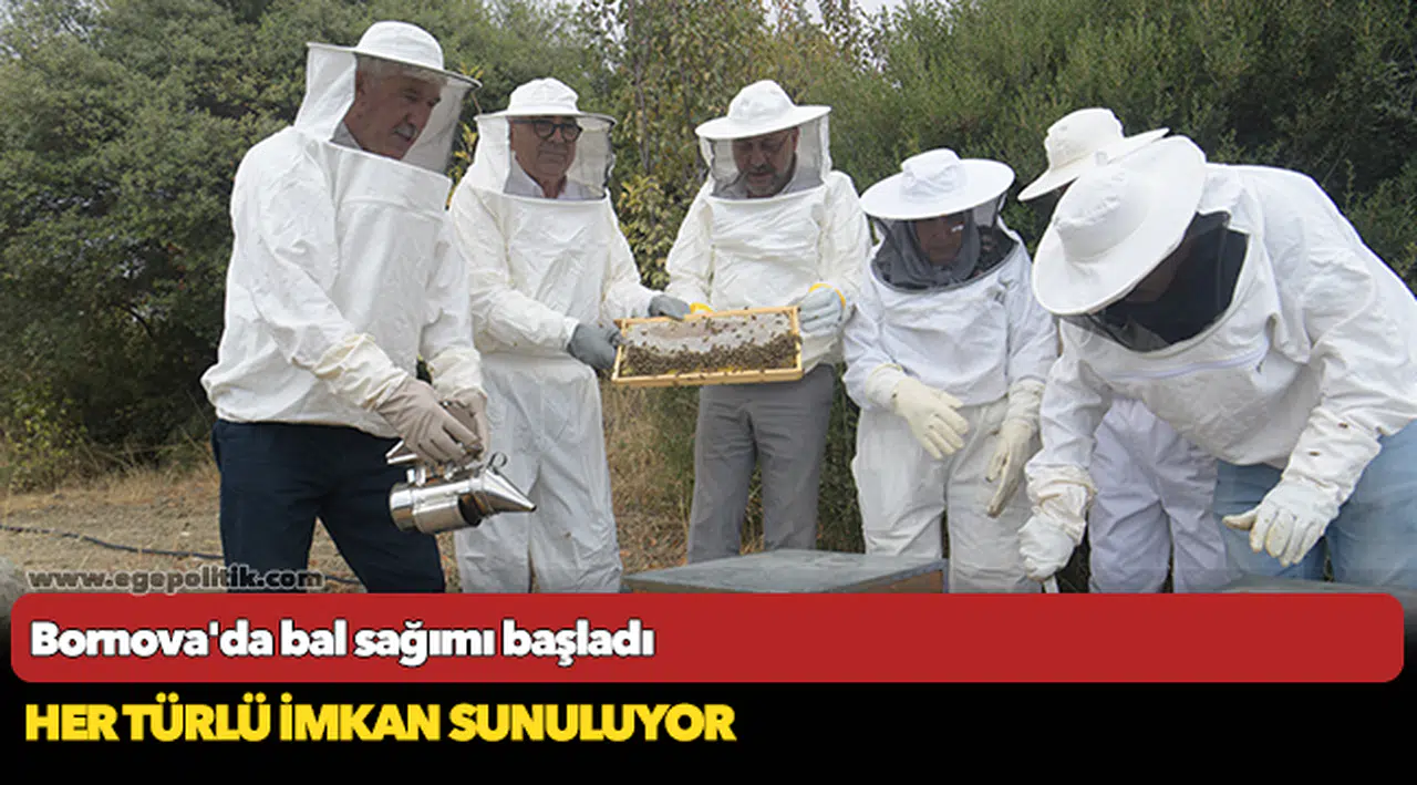Bornova'da bal sağımı başladı
